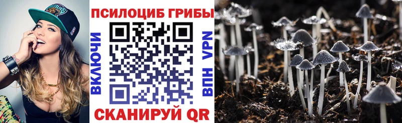 Галлюциногенные грибы Psilocybe  что такое   Городище 